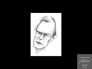 Image of bush.jpg